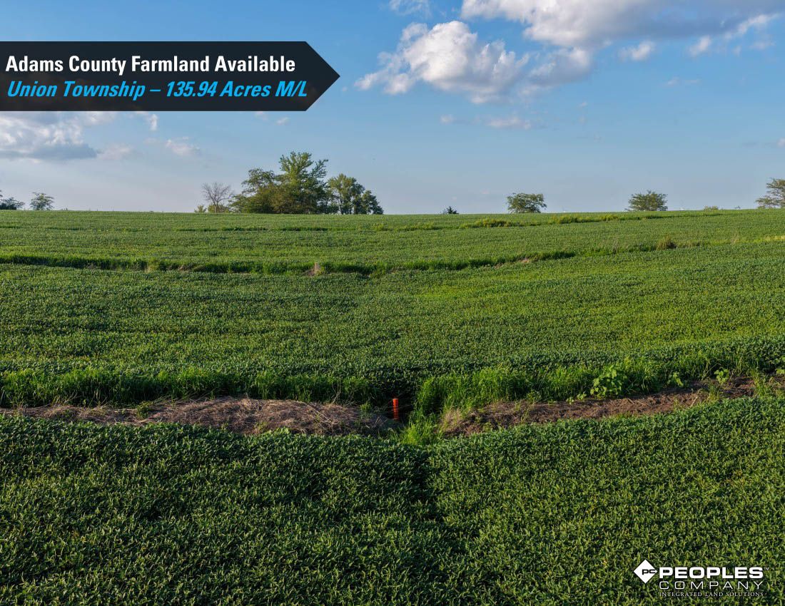 Listing Photo: Adams-County-Iowa-Farmland-Available-136-Acres-Blazek-Estate-19707 (2)